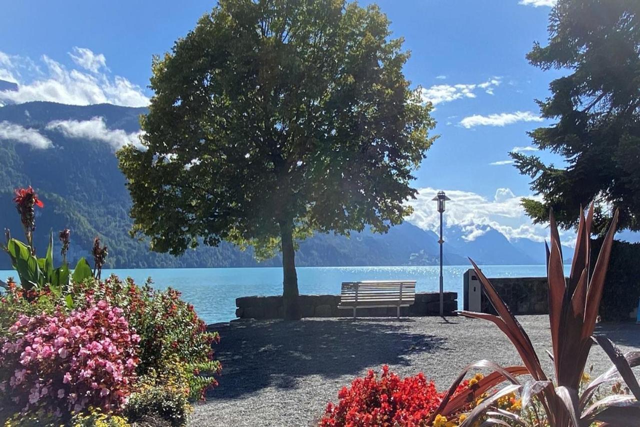 Holiday Apartments Falke Brienz  Exteriér fotografie
